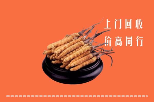 高价求购：青阳回收散虫草