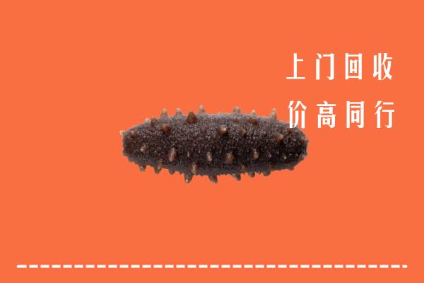 高价求购：青阳回收海参