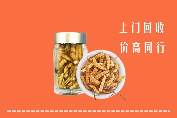 青阳回收冬虫夏草